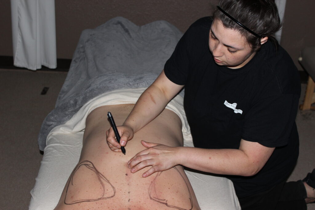 Massage student Sarah Suarez drawing muscles on another student’s back during anatomy practice